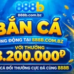 888b-fish-banner-2