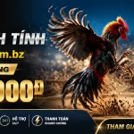 888b-livecasino-banner-1
