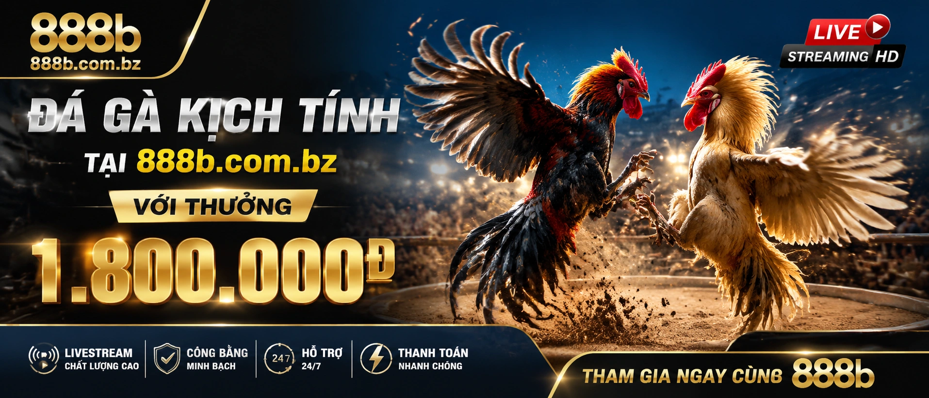 Live Casino