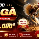 888b-livecasino-banner-2