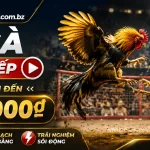 888b-livecasino-banner-3